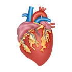 Biology Textbook icono