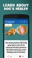 Amazing Dog Facts and Breeds capture d'écran 3