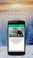 Curiosidades Animais Incríveis Cartaz