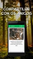 Curiosidades Animais Incríveis imagem de tela 2