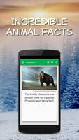 Daily Animal Facts and Pics Plakat