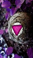 Psychic Crystal Ball Reading تصوير الشاشة 2