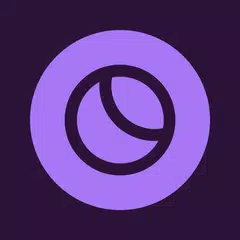 Toggl Plan APK download