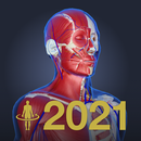 3D anatomy teamLabBody2021 APK