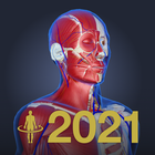 3D anatomy teamLabBody2021 أيقونة