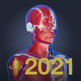 3D anatomy teamLabBody2021 APK