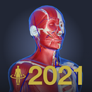 3D人体解剖学 チームラボボディ2021 APK
