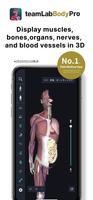 teamLab Body Pro 3d anatomy الملصق