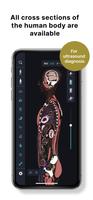 teamLab Body Pro 3d anatomy تصوير الشاشة 1