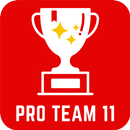 ProTeam11: Experts Prediction APK