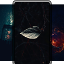 APK 5K Stunning Wallpapers