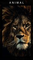 5K Stunning Wallpapers (pro) ภาพหน้าจอ 2