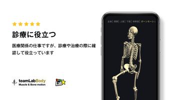 Poster 3D運動解剖学 teamLabBody