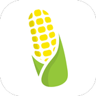 ikon CornCall