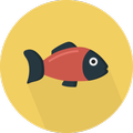 Fishing Game
