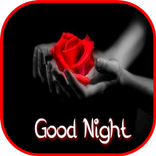 Good Night Gif