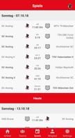 SV Anzing Handball 포스터
