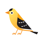 Finch by Teaching Strategies أيقونة