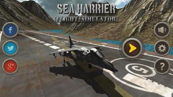 Sea Harrier Flight Simulator Affiche