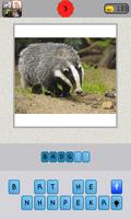 Animals Quiz screenshot 1