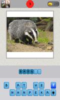 Animals Quiz Ekran Görüntüsü 1