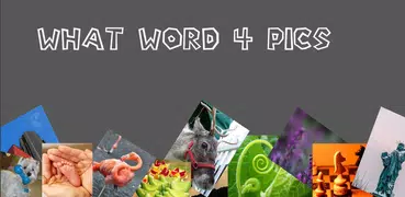 What Word? 4 pics