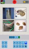 4 Bilder 1 Wort Screenshot 1