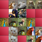 Animals Matching Game-icoon