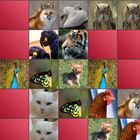 Animales que emparejan juego icono