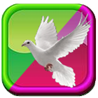 Teen Loron Bible আইকন