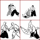 Teknik Aikido