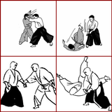 técnica de aikido