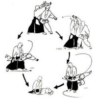 aikido technique poster