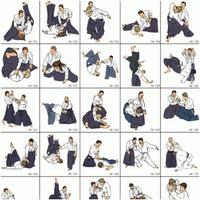 برنامه‌نما aikido technique عکس از صفحه