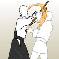 aikido technique Plakat