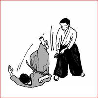 中国の武術 スクリーンショット 1