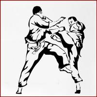 中国の武術 スクリーンショット 2