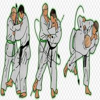 Technique de judo Affiche