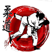 judo technique icon