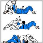complete judo technique icon