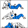 tam judo tekniği simgesi