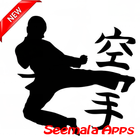 Learn the best Kungfu techniques ไอคอน