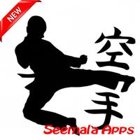 Learn the best Kungfu techniques Plakat