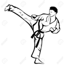 Technique de taekwondo APK
