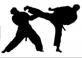 Teknik Taekwondo screenshot 3