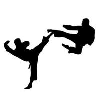 Teknik Taekwondo screenshot 1
