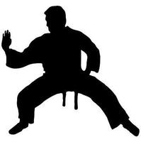 Teknik Taekwondo screenshot 2