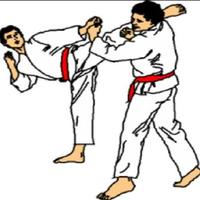 taekwondo technique تصوير الشاشة 3