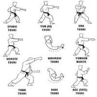 taekwondo technique স্ক্রিনশট 1