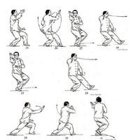 tai chi technique Affiche